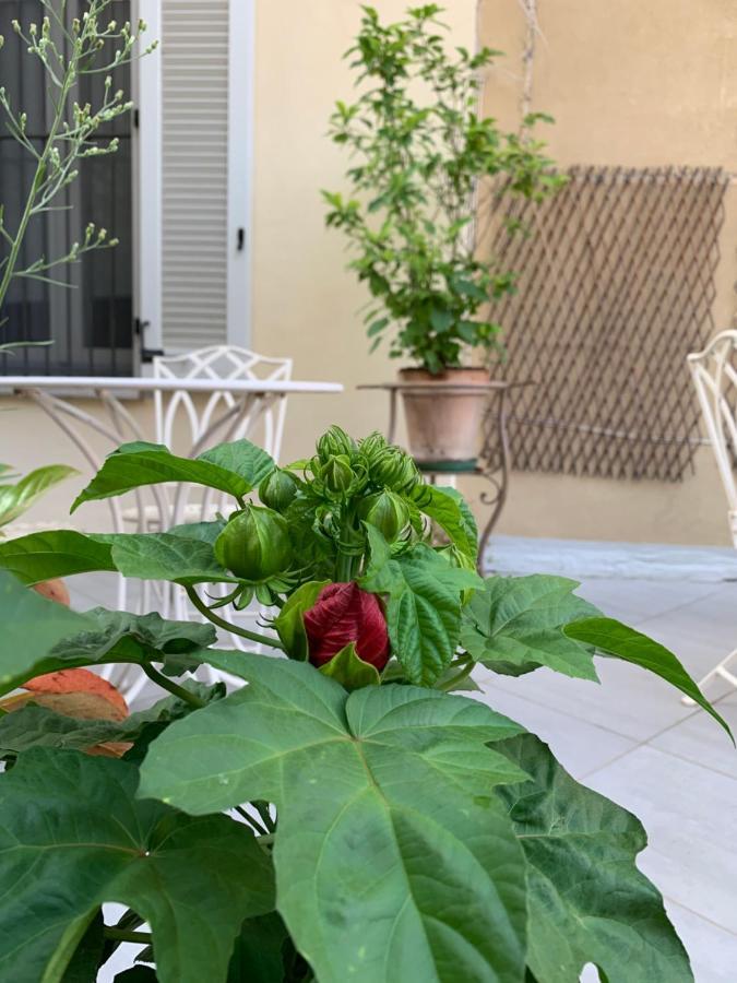 La Terrazza Vercelli Bed & Charme Exterior photo