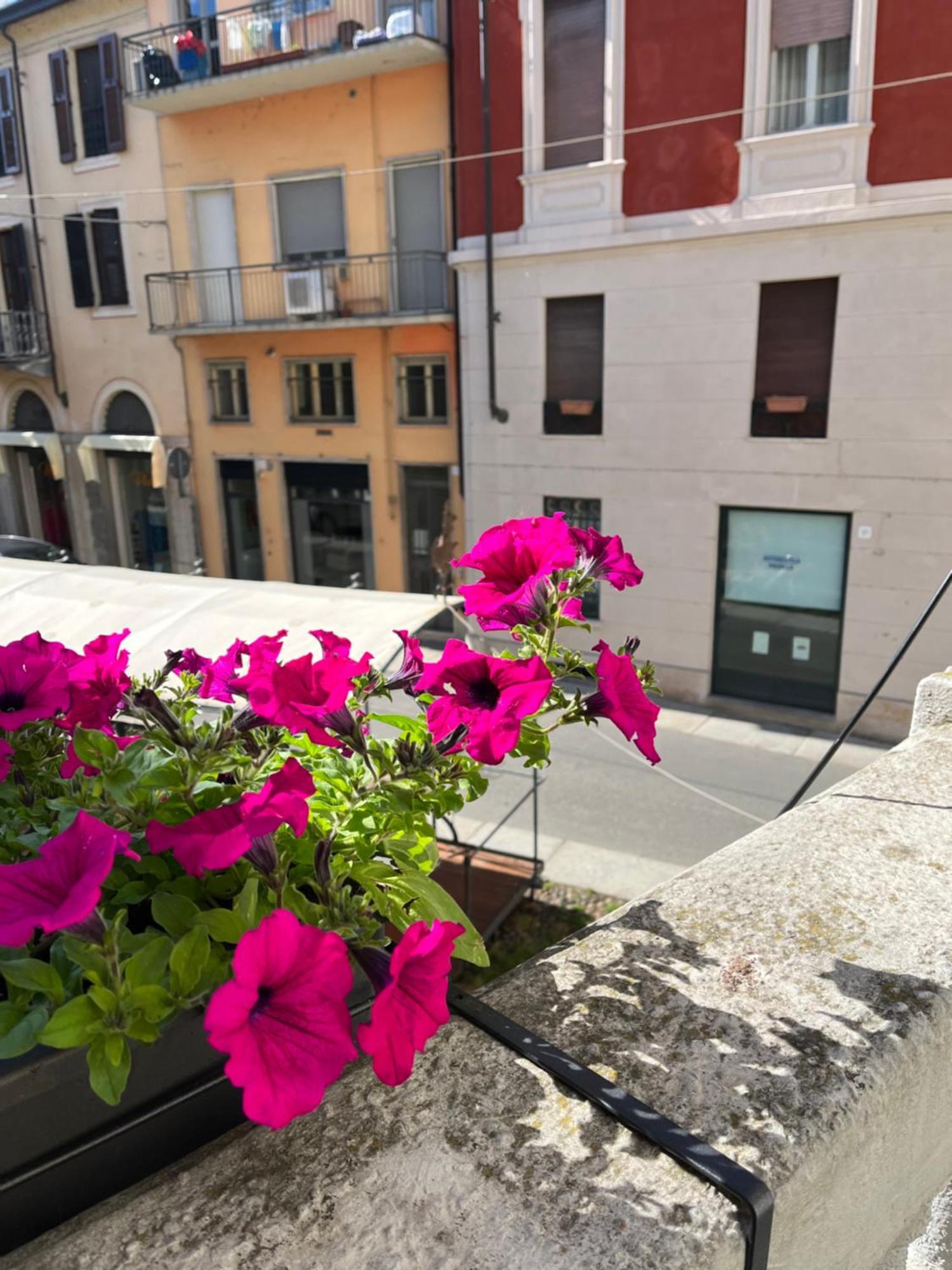 La Terrazza Vercelli Bed & Charme Exterior photo