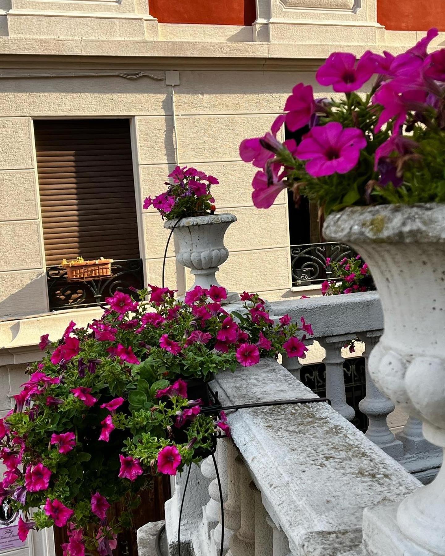 La Terrazza Vercelli Bed & Charme Exterior photo